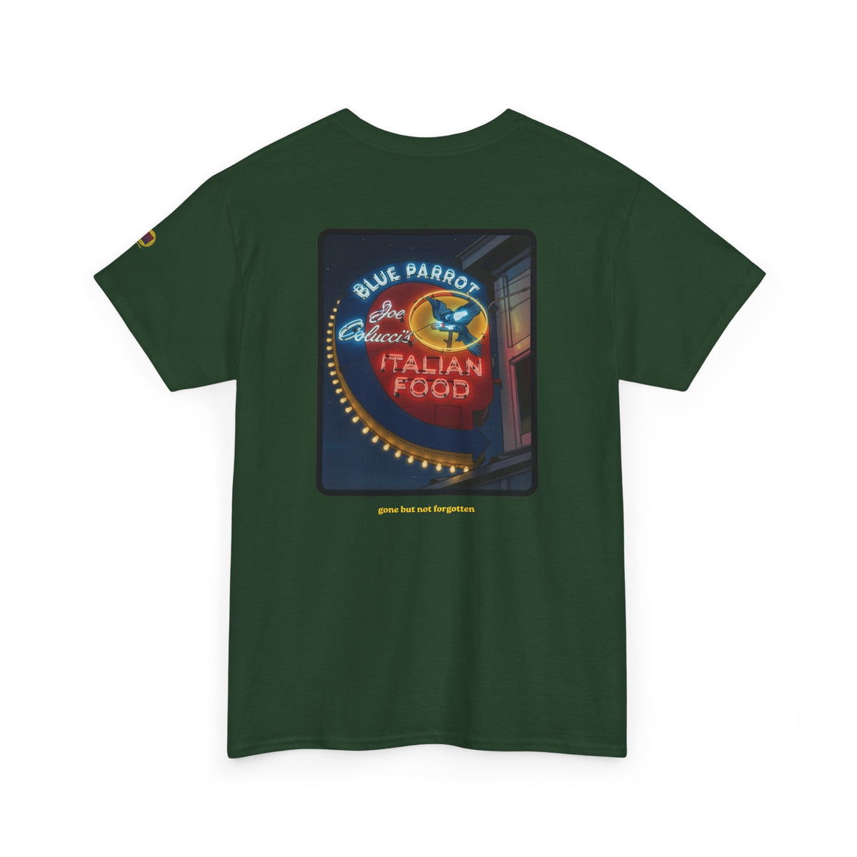 BLUE PARROT - vintage Denver gear