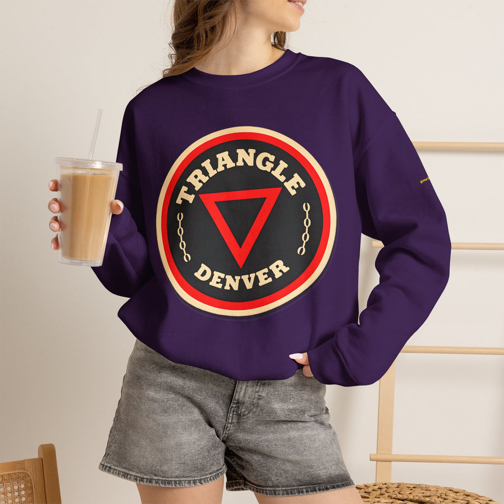 TRIANGLE BAR | Native303 Sweatshirt