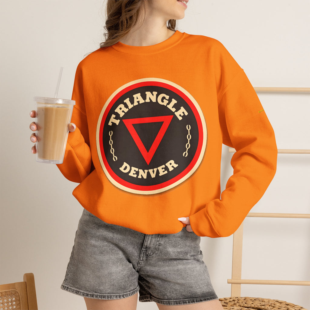 TRIANGLE BAR | Native303 Sweatshirt