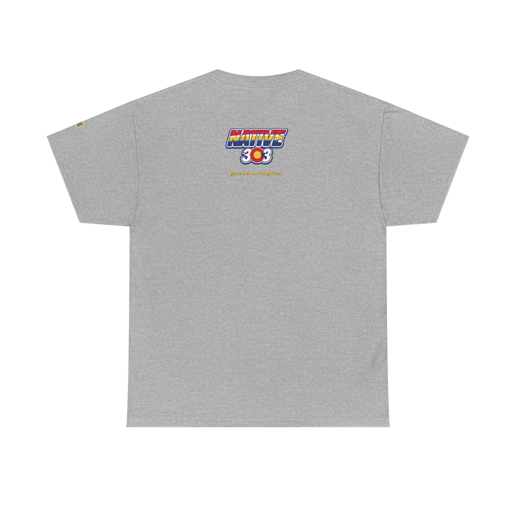 Cinderella Twin Drive In night sky - vintage Denver gear