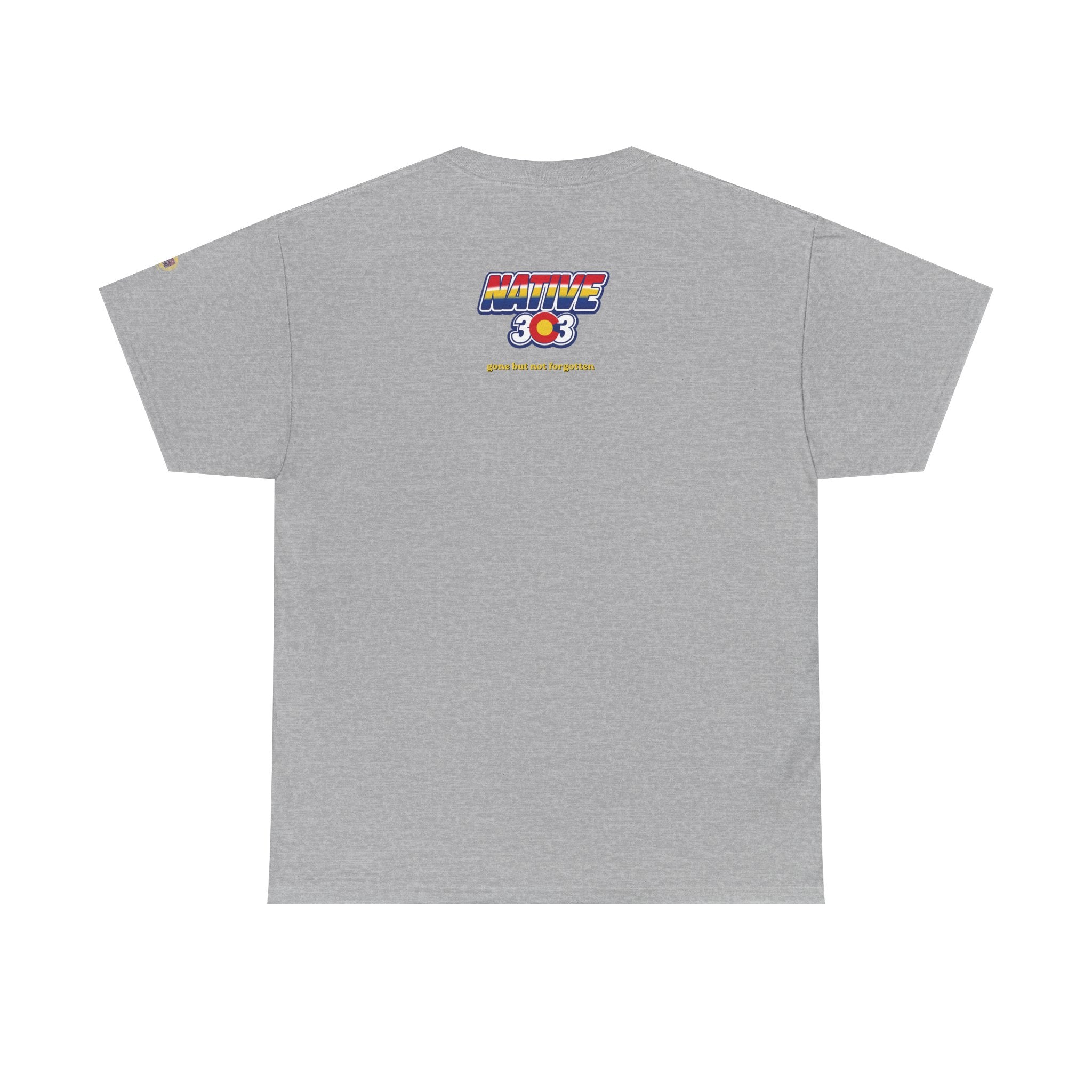 Cinderella Twin Drive In night sky - vintage Denver gear