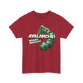 Denver Avalanche - vintage Denver gear
