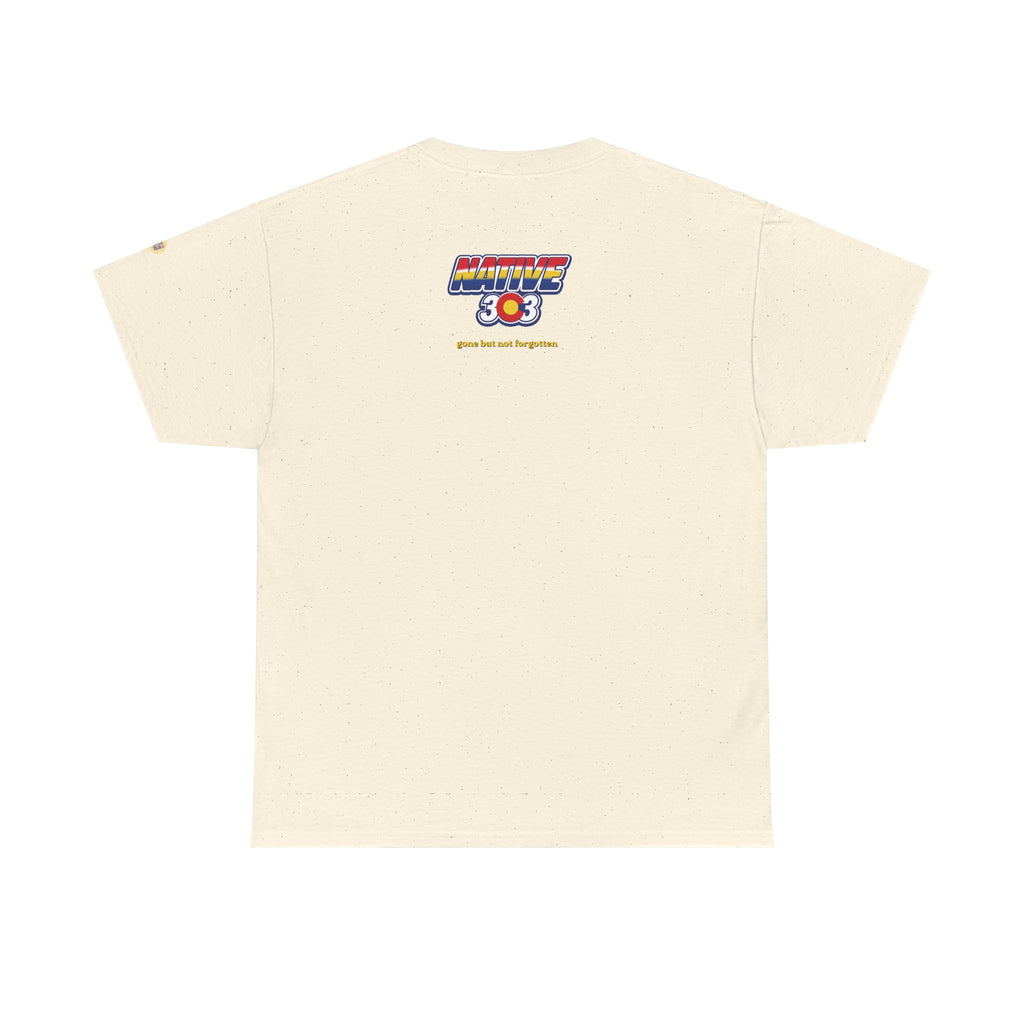 Cinderella Twin Drive In night sky - vintage Denver gear