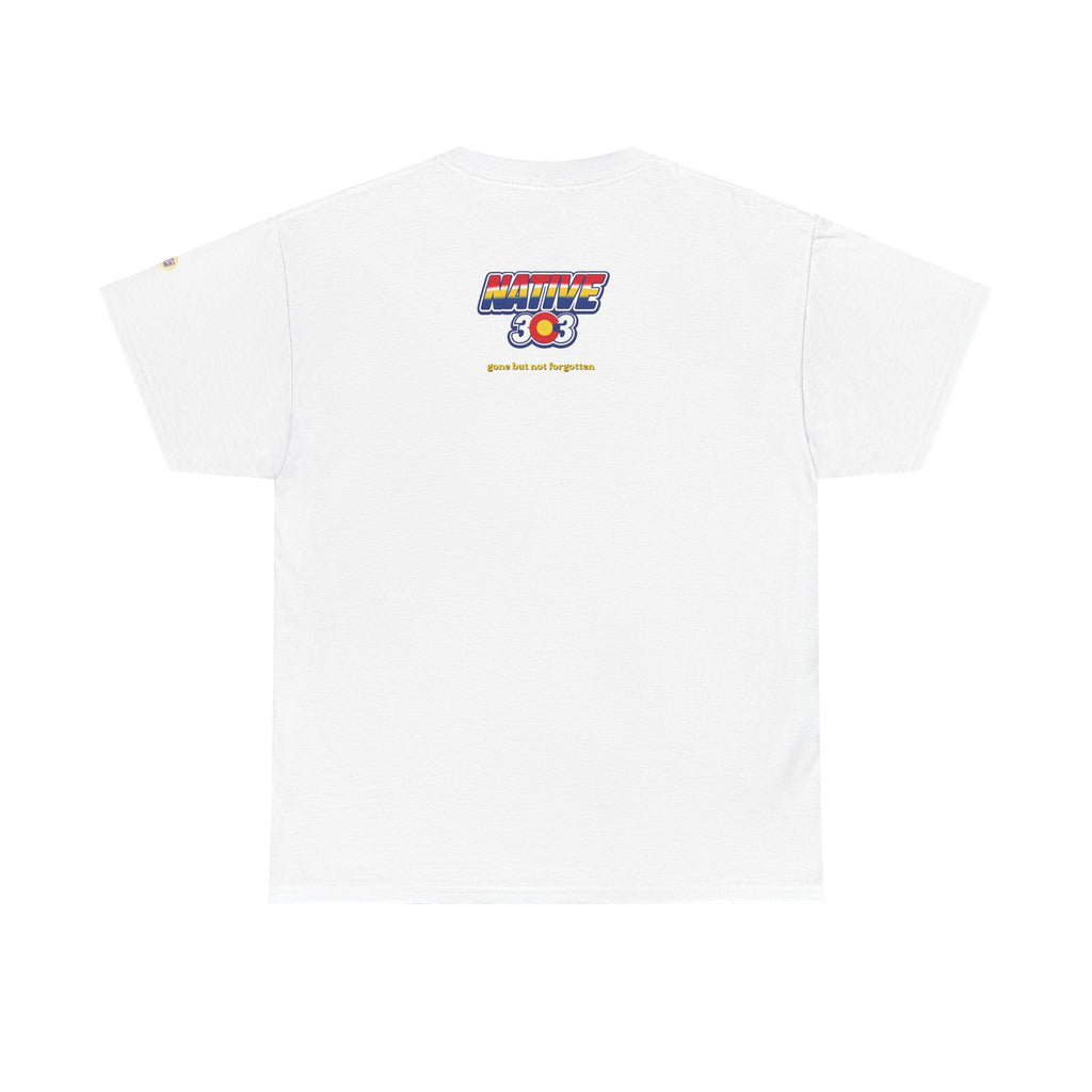Cinderella Twin Drive In night sky - vintage Denver gear