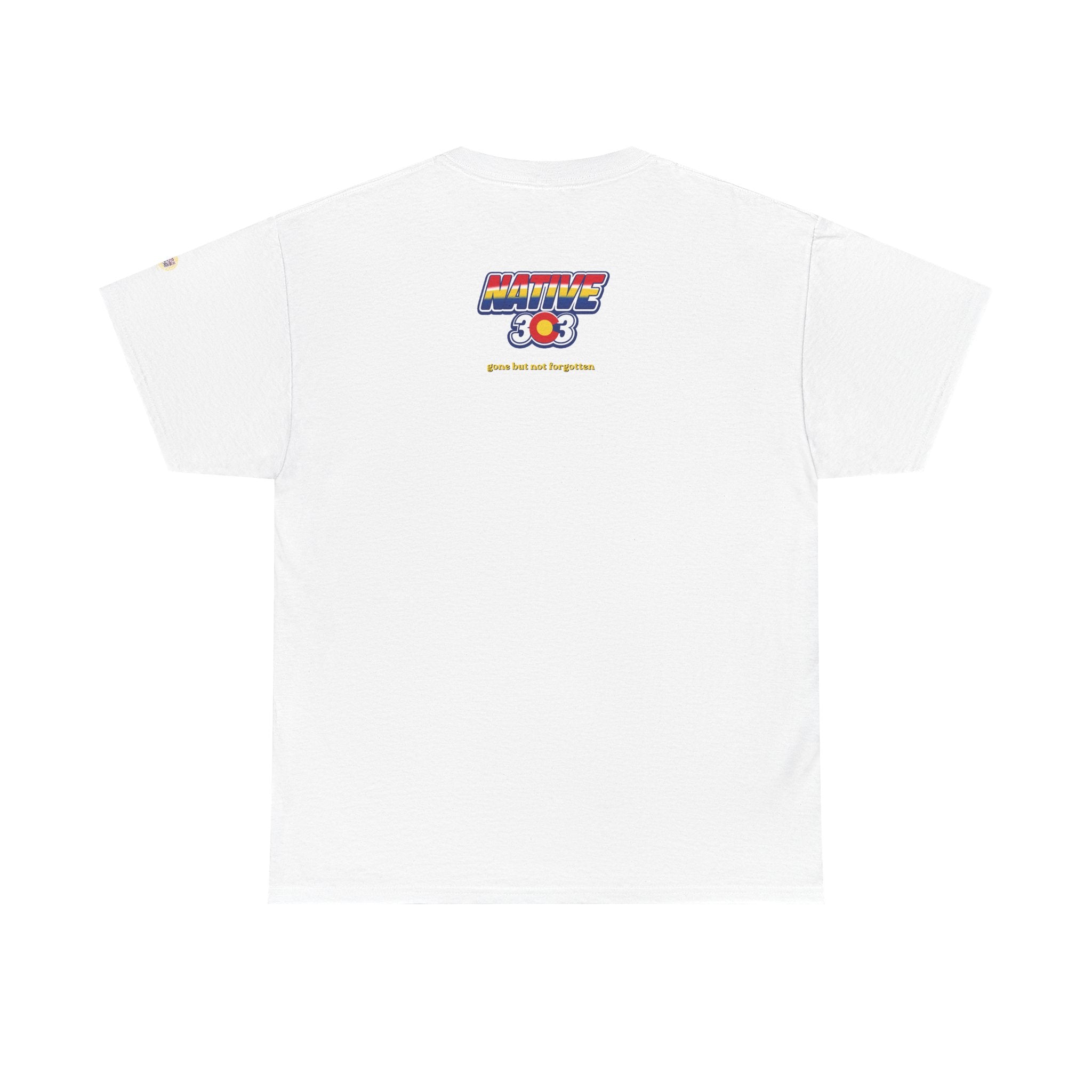 Cinderella Twin Drive In night sky - vintage Denver gear