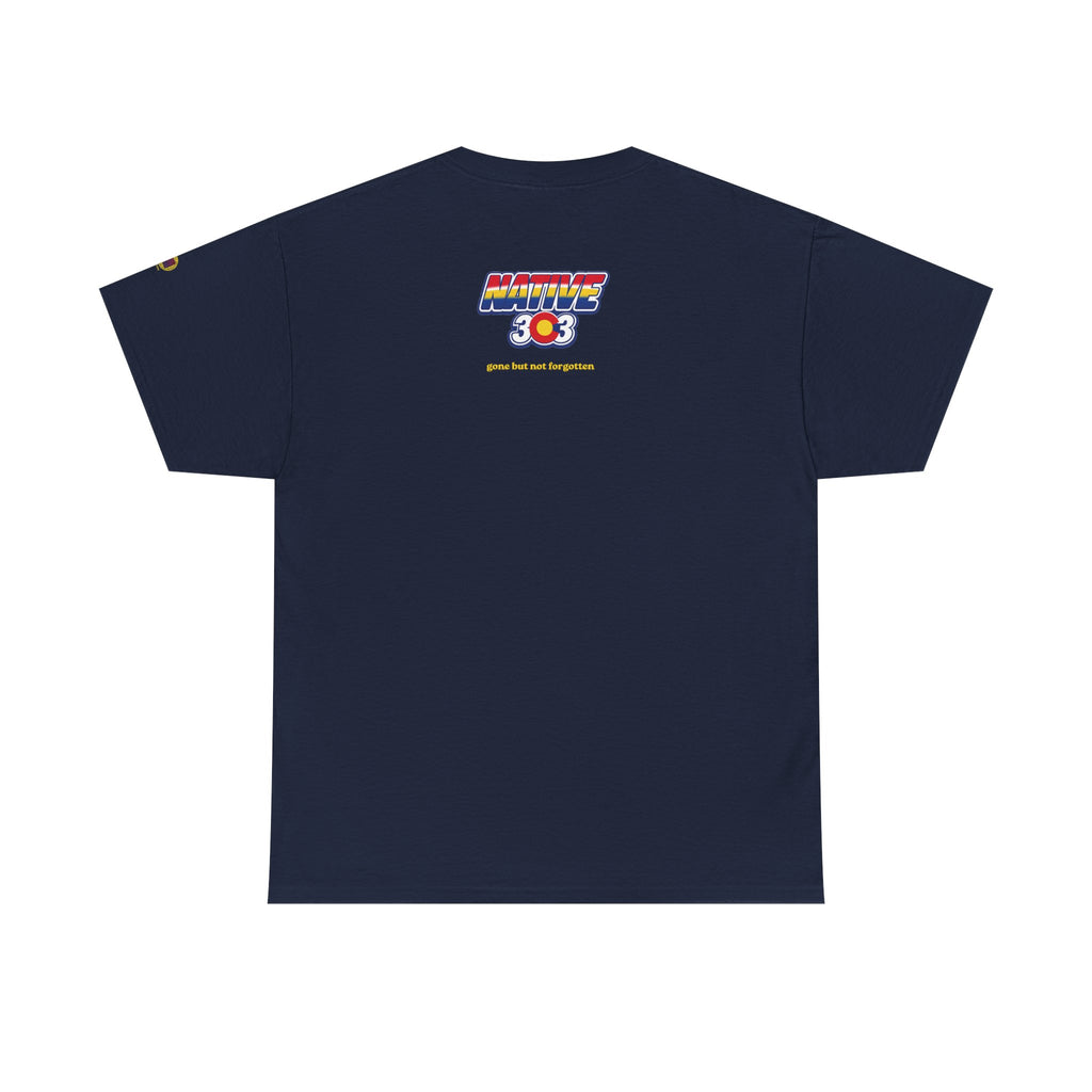 Cinderella Twin Drive In night sky - vintage Denver gear