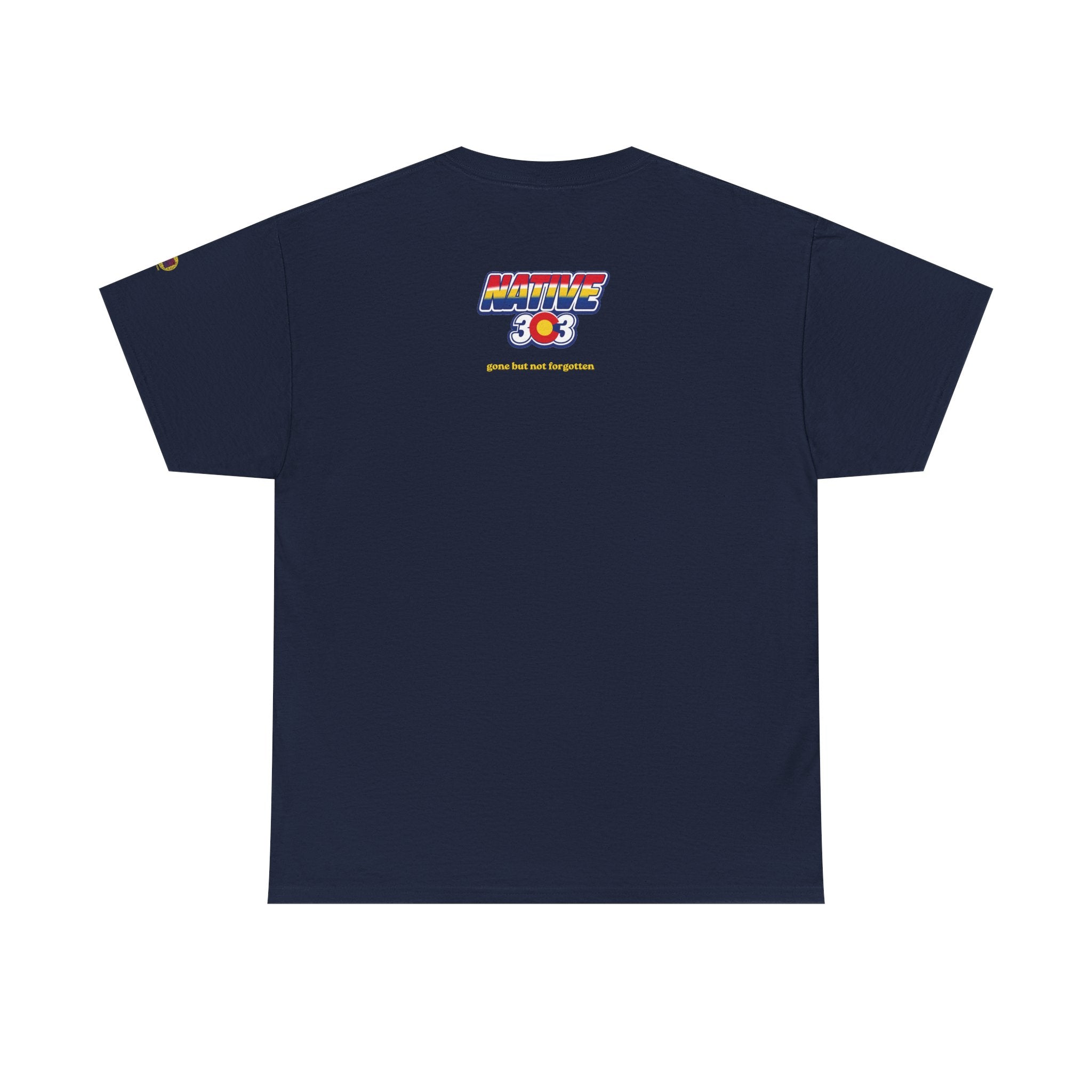 Cinderella Twin Drive In night sky - vintage Denver gear
