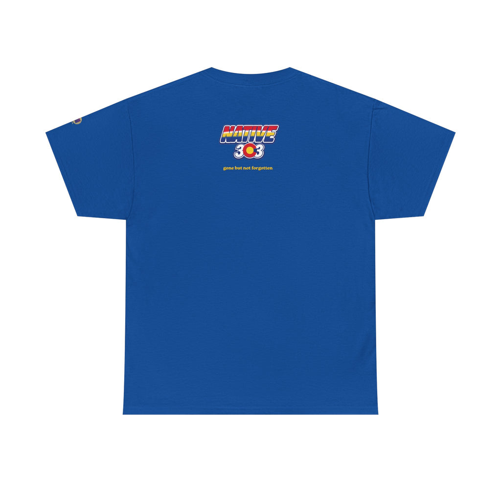 Cinderella Twin Drive In night sky - vintage Denver gear