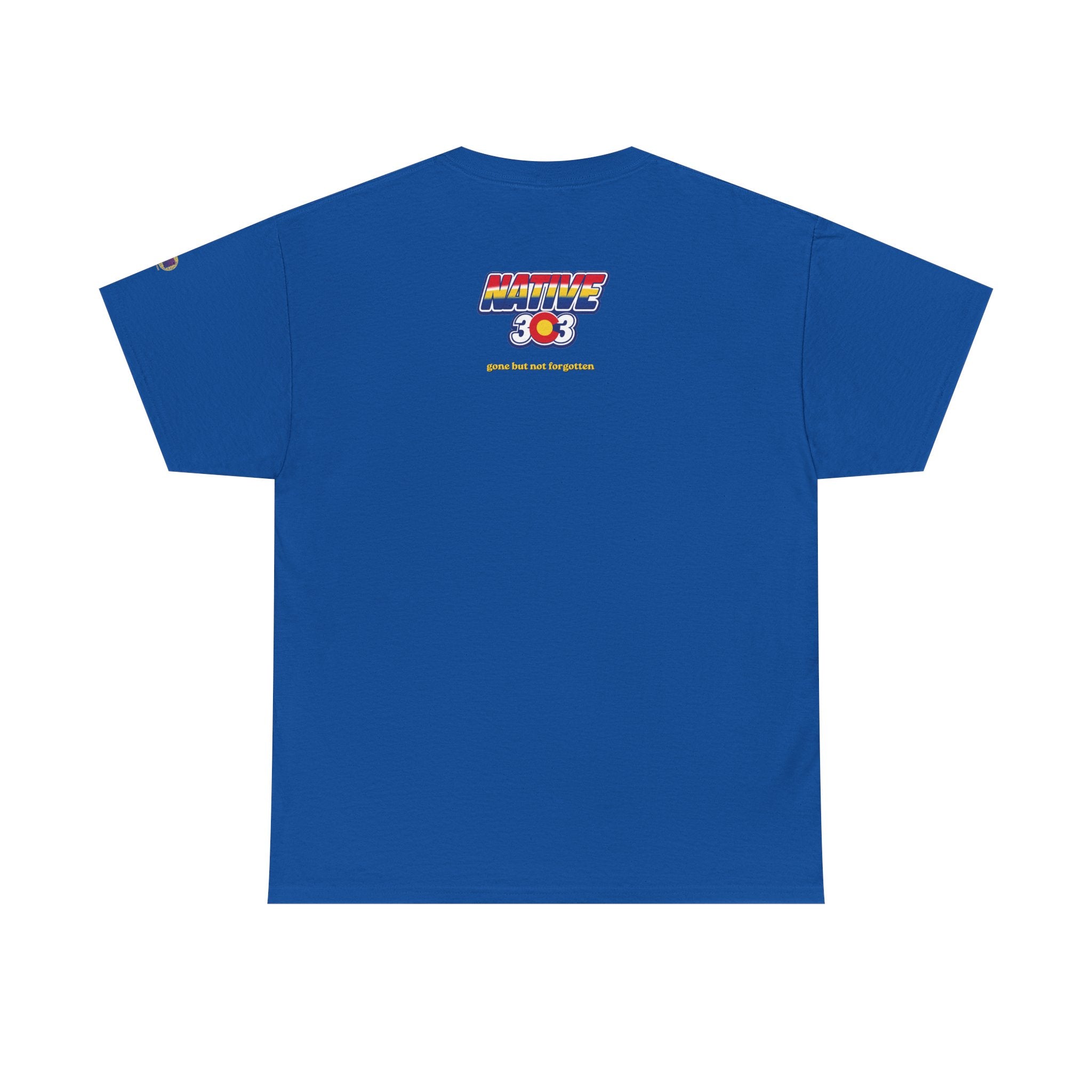 Cinderella Twin Drive In night sky - vintage Denver gear
