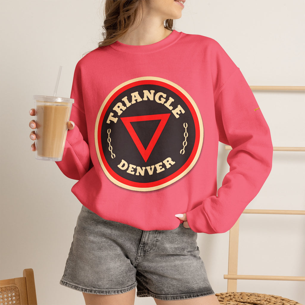 TRIANGLE BAR | Native303 Sweatshirt