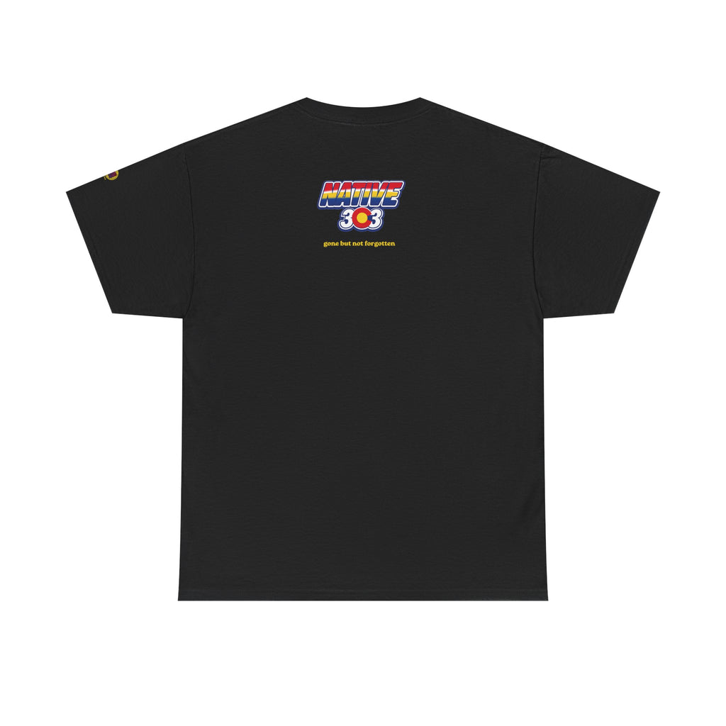 Cinderella Twin Drive In night sky - vintage Denver gear