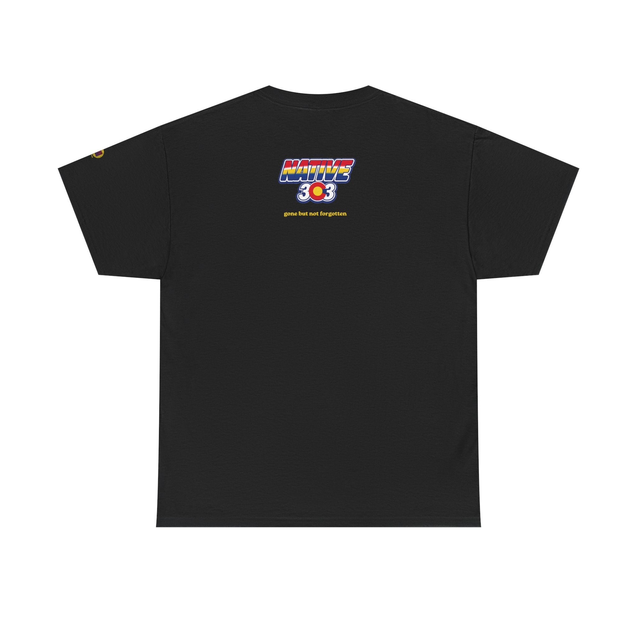 Cinderella Twin Drive In night sky - vintage Denver gear
