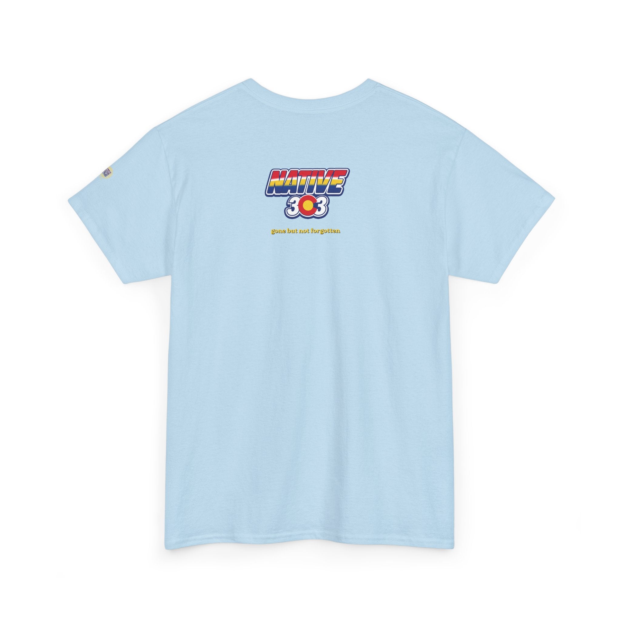 Cinderella Twin Drive In night sky - vintage Denver gear