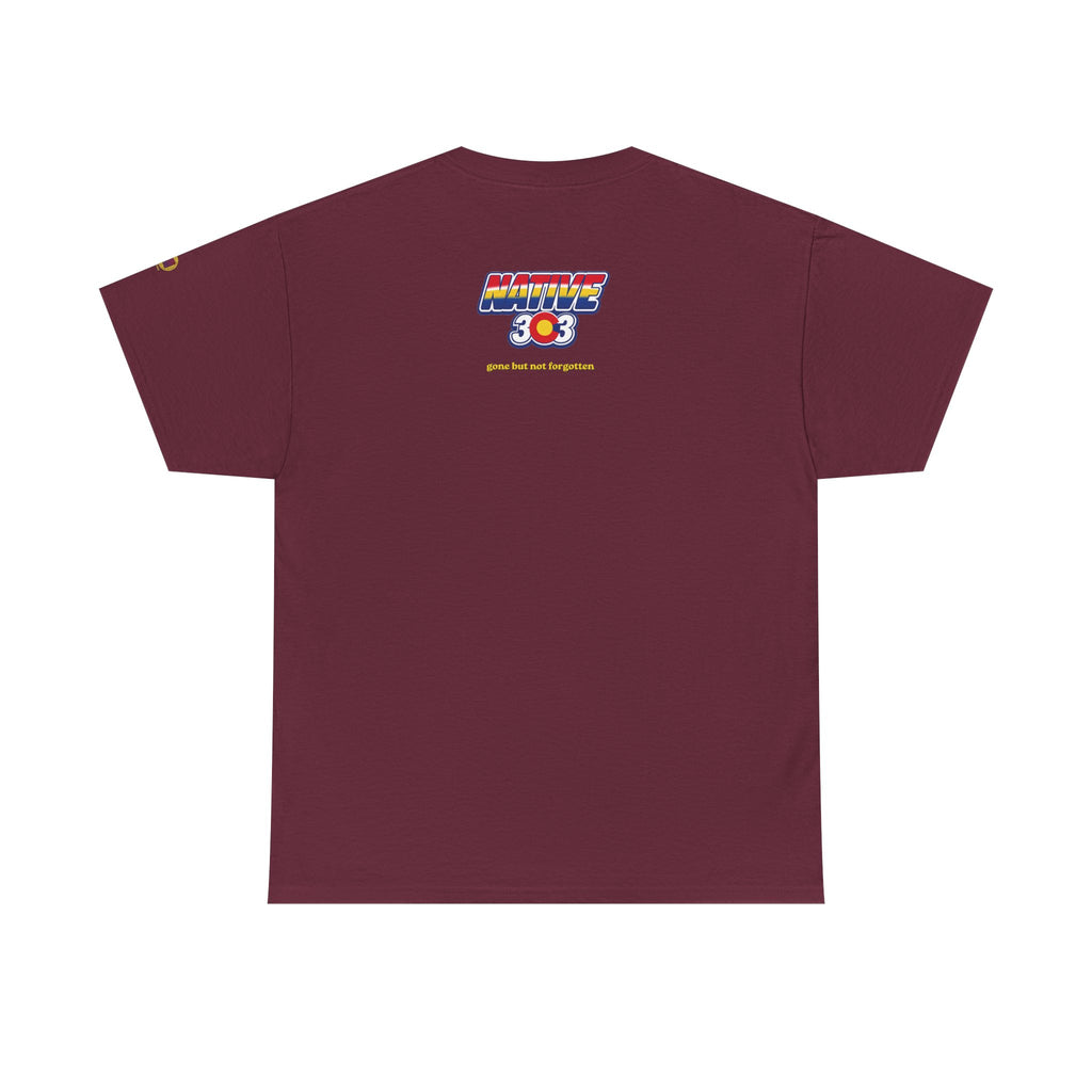 Cinderella Twin Drive In night sky - vintage Denver gear