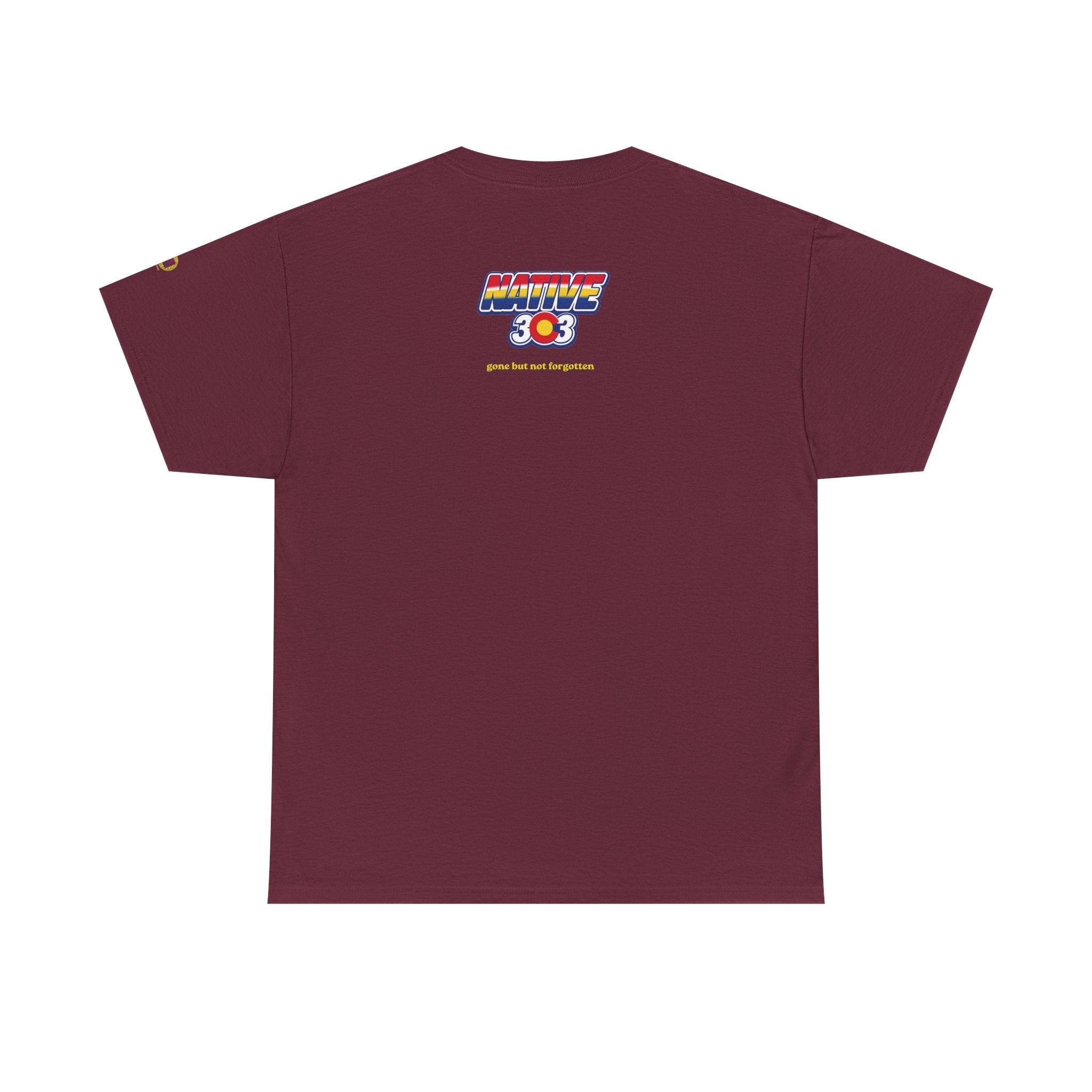 Cinderella Twin Drive In night sky - vintage Denver gear