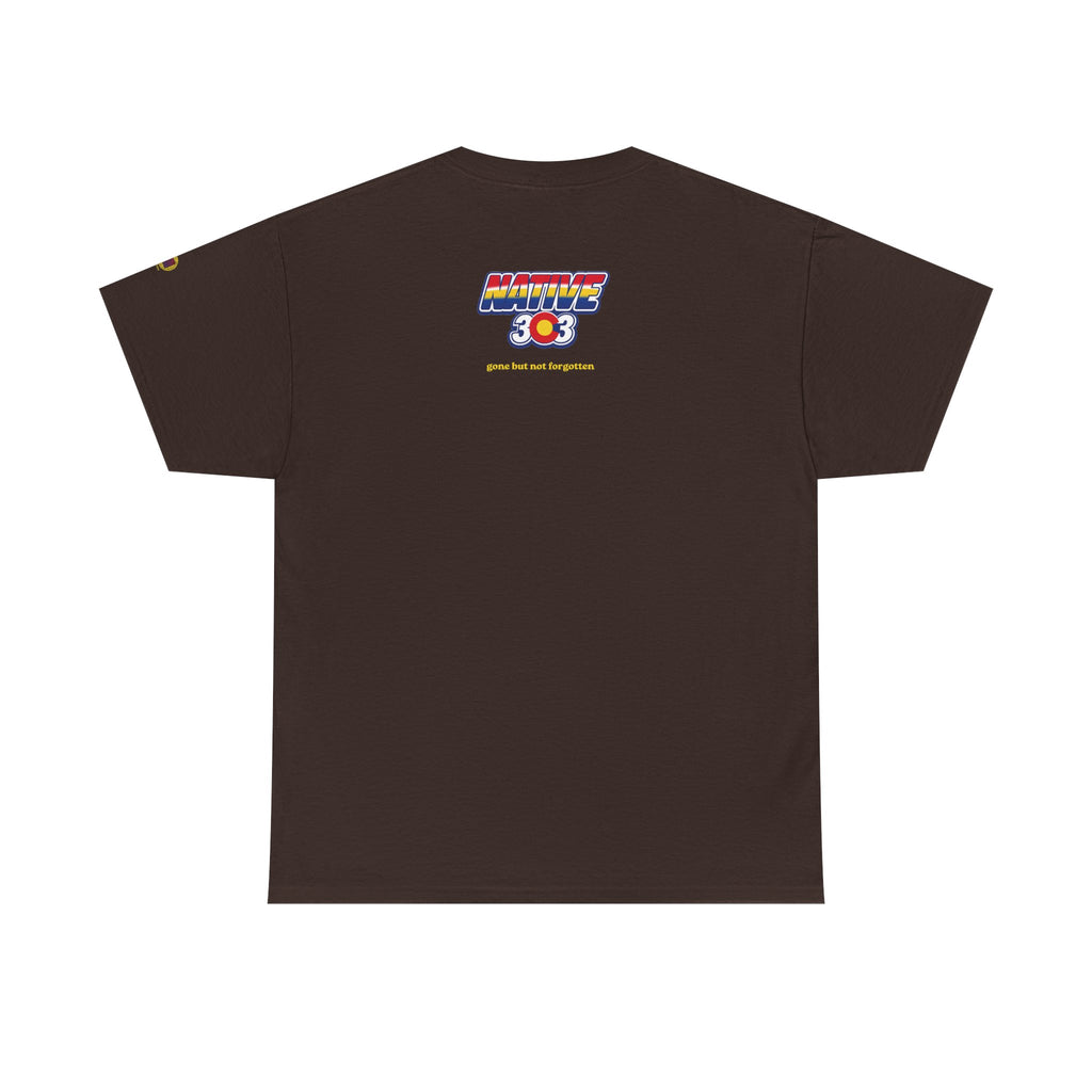 Cinderella Twin Drive In night sky - vintage Denver gear