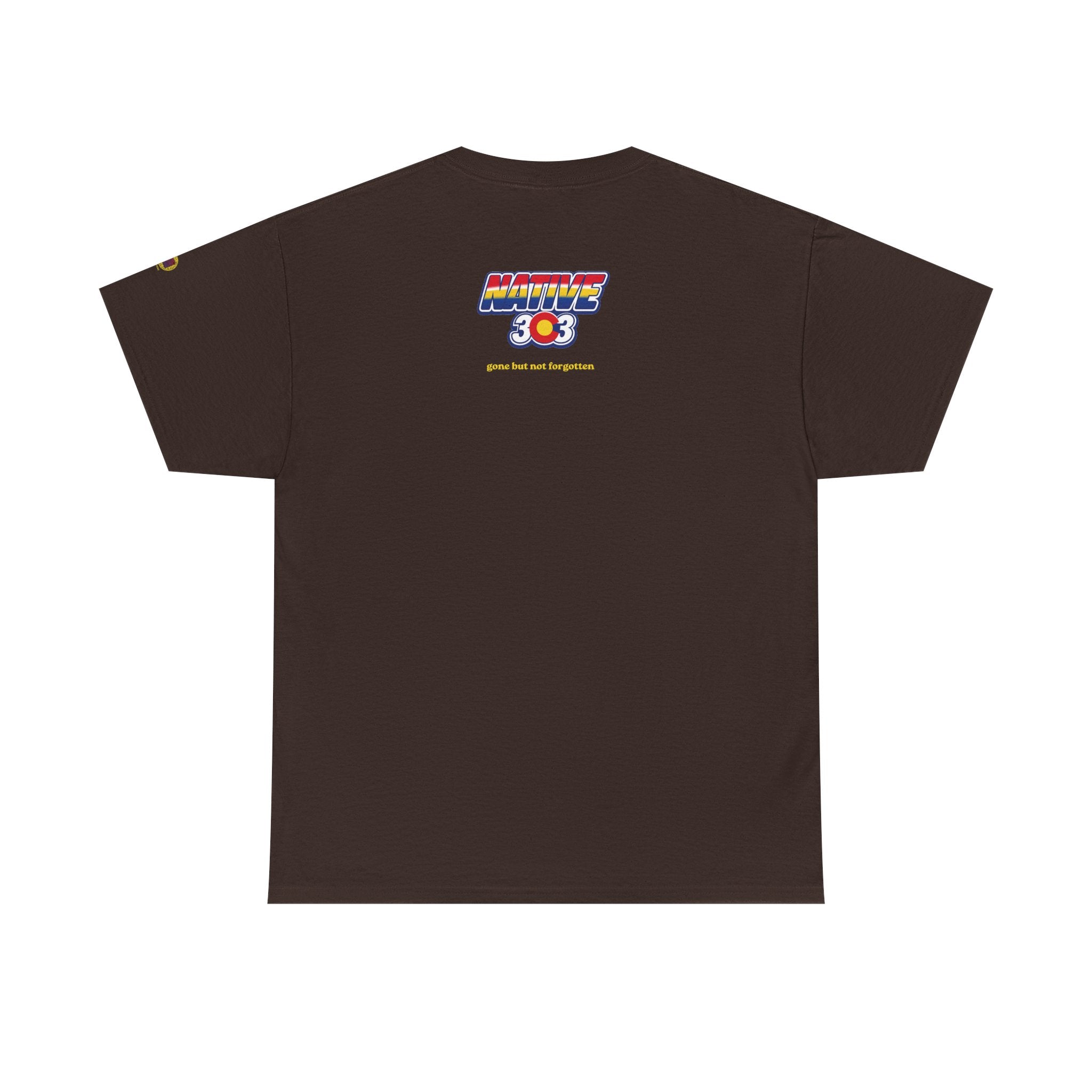 Cinderella Twin Drive In night sky - vintage Denver gear