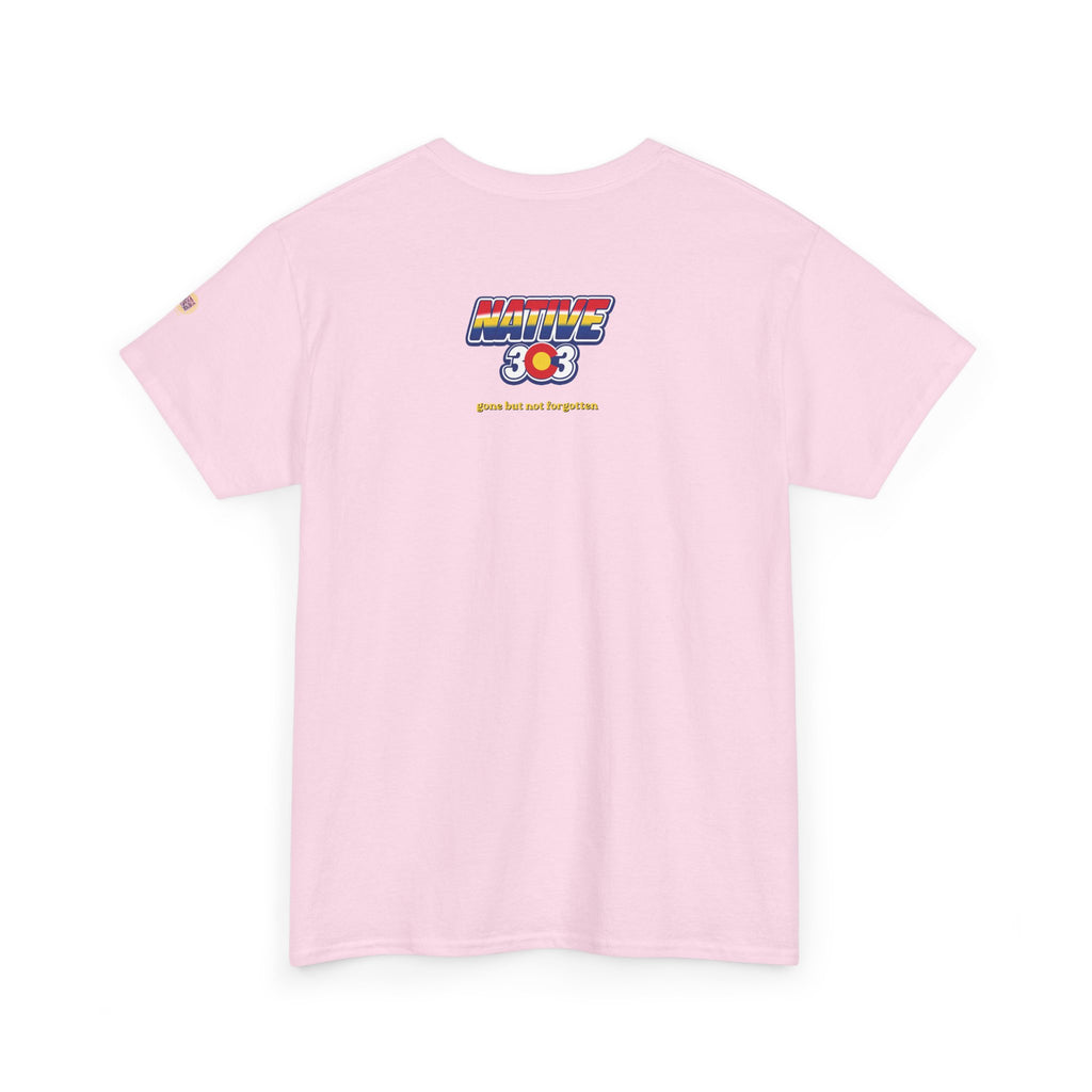 Cinderella Twin Drive In night sky - vintage Denver gear