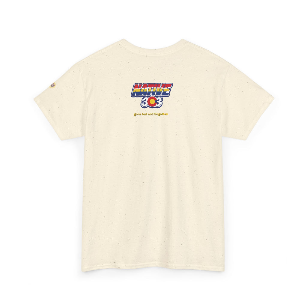 Cinderella Twin Drive In night sky - vintage Denver gear