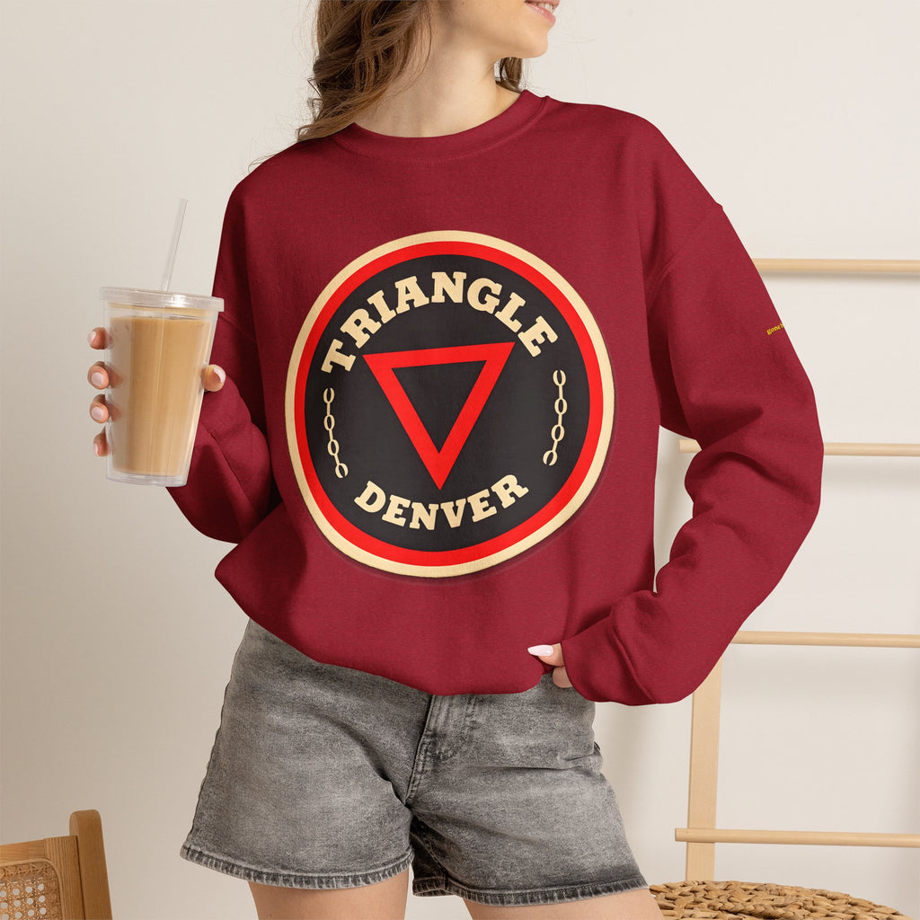 TRIANGLE BAR | Native303 Sweatshirt