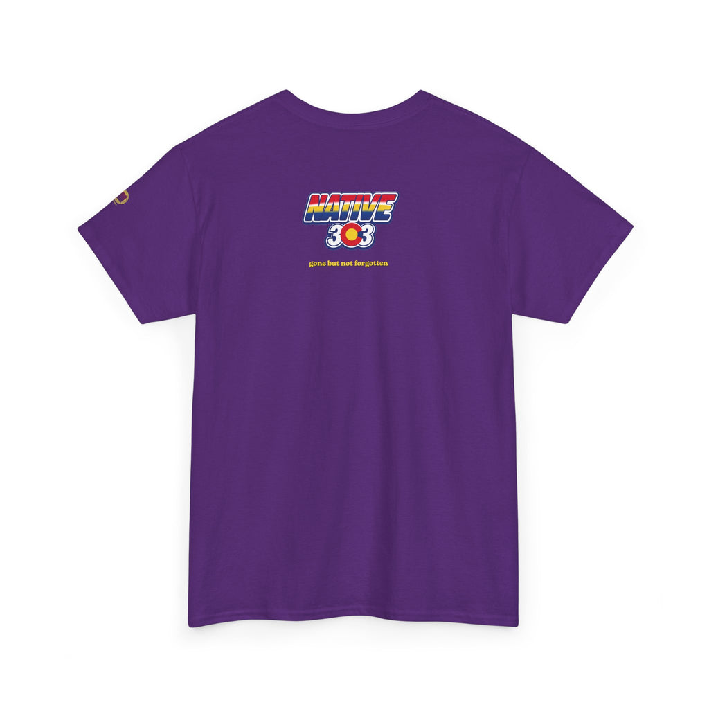 Cinderella Twin Drive In night sky - vintage Denver gear