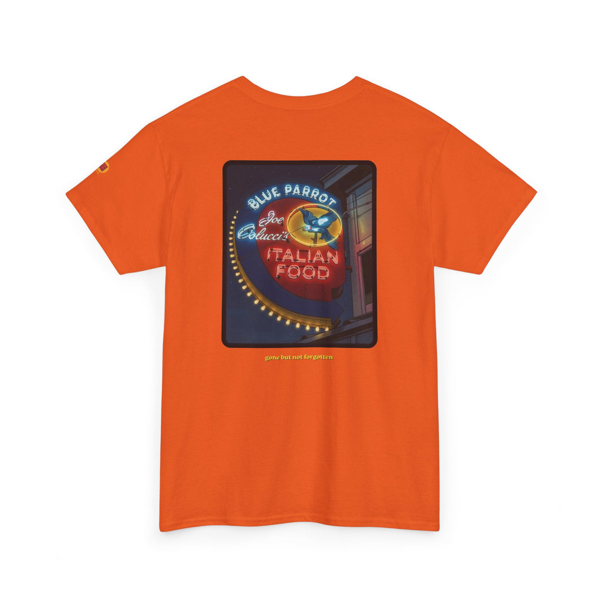 BLUE PARROT - vintage Denver gear